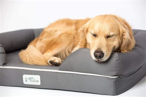 Best Waterproof Memory Foam Dog Bed